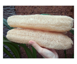 Esponja Natural de Lufa Vietnamita de Alta Calidad para el Hogar - Esponja Natural de Lufa con Agarre Cómodo para Uso Doméstico - Product Image 1