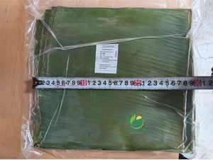 Haute qualité bio 25cm rond carré congelé vert feuille de bananier Vietnam VIET THIEN PHU en vrac pour gâteau emballage légumes surgelés - Product Image 3