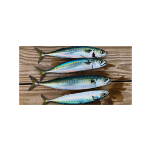 ปลาแมคเคอเรลแช่แข็งแบบแช่แข็ง - Product Image 5