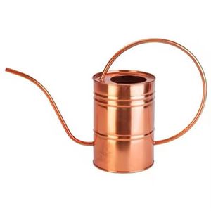 Arrosoir en métal de style populaire pour la décoration intérieure extérieure de la maison et du jardin avec buse de haute qualité pour tous vos besoins d'arrosage - Product Image 4