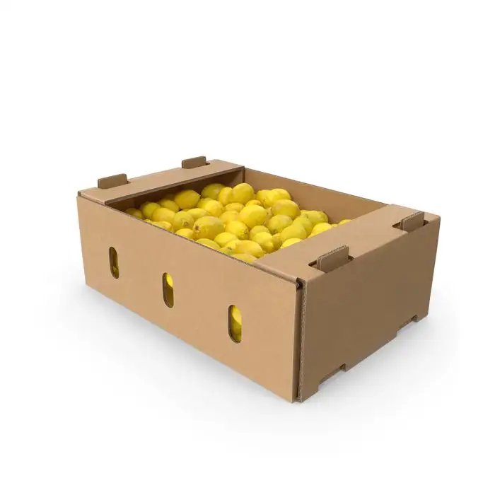 Double Wall Cardboard Box for Apple Strawberry Orange Pineapple Vegetable Fruit Banana Custom Shipping Carton Box