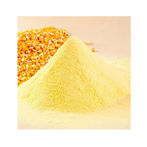 Polvo de almidón de maíz de alto rendimiento para adhesivos, papel y industria textil - Product Image 2