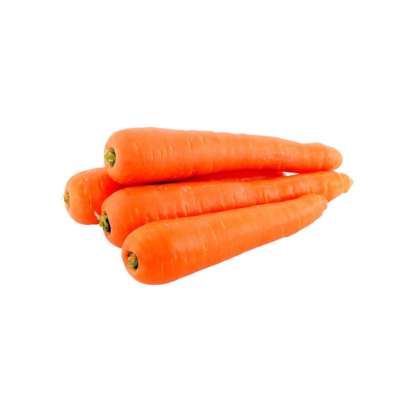 Fresh Carrots available in various sizes for wholesale markets and retailers
