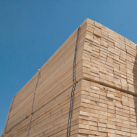 Bois de construction scié de qualité supérieure en hêtre, pin, chêne, frêne et épicéa européens, séché au four, pour la fabrication de meubles, de parquet et d'armoires