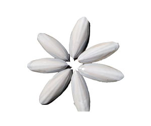 Os de calmar séché du Vietnam pour l'alimentation animale-Os de seiche de haute qualité, os de seiche abordable pour les oiseaux et les animaux de compagnie du Vietnam - Product Image 1