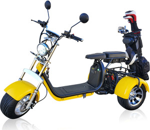 Triciclo Eléctrico de Golf de 2000W, Popular y en Oferta, con 3 Años de Garantía, Listo para Enviar - Product Image 1
