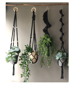 Customized Macrame Plant Hanger for <b>Wall</b> and Window Decoration - Product Image 3