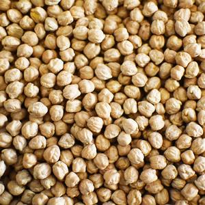 Garbanzos Kabuli orgánicos sin OGM, secado a granel de alta calidad, disponible a precio de descuento - Product Image 4