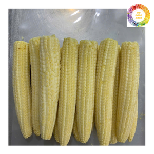 Maïs sucré en grains congelé Épis surgelés de maïs jaune IQF Vente en gros Mélange de légumes Prix d'usine pour l'exportation agricole - Product Image 3