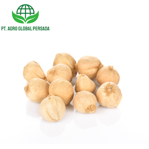 Cardamomo Blanco Orgánico Indonesio de Alta Calidad, Producto Agrícola Premium, Precios Competitivos, Proveedor Mayorista para Pedidos al por Mayor - Product Image 2