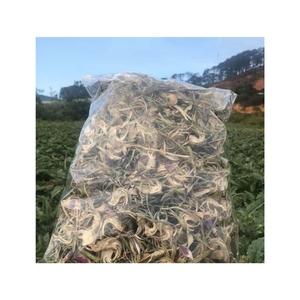 Venta superior brote de alcachofa seca ideal para preparar bebidas refrescantes y mezcla de especias gourmet en saciedad y apoya la limpieza del cuerpo - Product Image 3