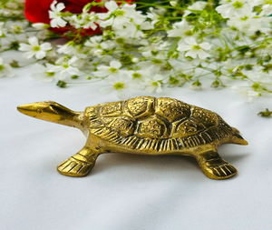 Sculptures de tortue en laiton: Sculptures de tortue en laiton détaillées adaptées à la décoration de salon ou de bureau. Disponible en gros - Product Image 6