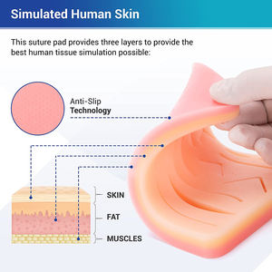 Kits d'étudiants de haute qualité 7 pièces avec porte-aiguille pince ciseaux ensemble de bronzage étudiant chirurgical avec étui en cuir - Product Image 3