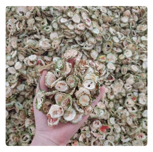 ชาแตงโมขมอบแห้งอร่อย-ชงสมุนไพรคุณภาพระดับพรีเมี่ยมสำหรับผู้ที่ชื่นชอบสุขภาพ - Product Image 5