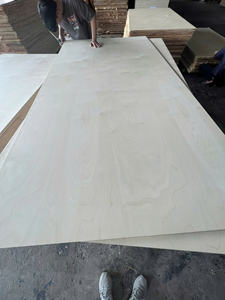 Contrachapado Comercial, Contrachapado de Abedul para Muebles - Product Image 2