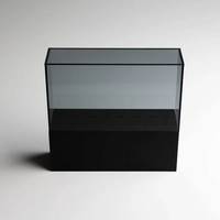 Présentoir à pinces en acrylique Crystal Clear Tweezer Stand Elevate Your Beauty Workspace