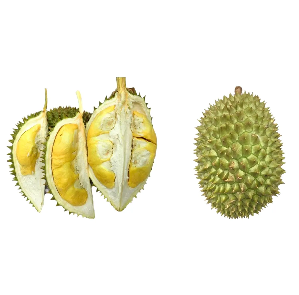 Kalite tropikal ağırlık kökenli tipi boyutu sınıf ürün satılık taze Durian meyve vietnam'dan taze Durian