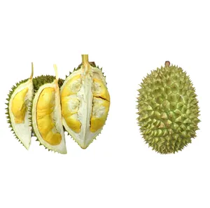 优质热带重量产地类型尺寸级产品新鲜榴莲水果出售越南新鲜榴莲