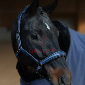 Bride de cheval en cuir de style anglais équestre professionnel avec licou fait à la main en cuir durable idéal pour la piste d'entraînement - Product Image 2