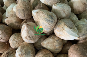 Venta al por mayor Premium SEMI HUSKED COCO-Hecho por VIET THIEN PHU de VIET NAM-Comida saludable Producto caliente Precio barato - Product Image 4