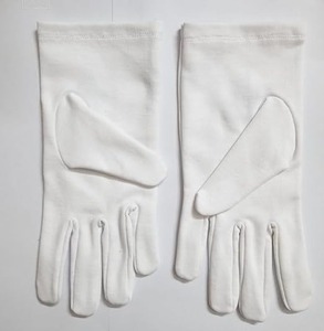 Blue Square & Compass Masonic Embroidered Cotton Gloves - [<b>White</b> & Blue] very comfortable to wear gloves size Large - Product Image 2