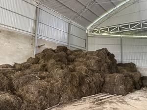 หญ้าเจลลี่สีดำแบบพรีเมี่ยมสำหรับทำพุดดิ้งหญ้าแห้งแบบธรรมชาติจากเวียดนาม - Product Image 3