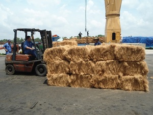 Offre Spéciale FIBRE DE NOIX DE COCO DU VIETNAM DE HAUTE QUALITÉ POUR LES VENTES-FIBRE DE COCO NATURELLE 100% - Product Image 3