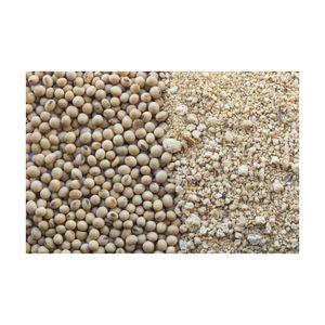 Germination et soja jaune de qualité alimentaire/soja séché de qualité supérieure soja sans OGM - Product Image 4