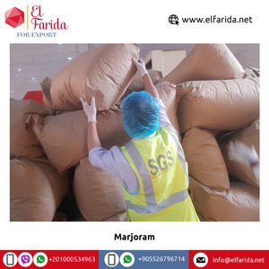 Herbes d'épices en feuilles de marjolaine séchées broyées de qualité superlative largement vendues type de traitement brut avec un processus de séchage supérieur - Product Image 5
