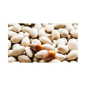 Offres Spéciales Vente en gros Meilleur prix Noix de Ginkgo séchées Noix de Ginkgo de qualité à vendre à bas prix brut naturel - Product Image 1