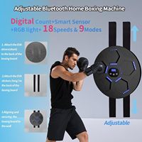 Machine de boxe intelligente musicale Bluetooth pour l'entraînement à domicile, cible d'entraînement de boxe murale électronique à LED