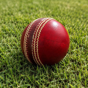 Pelotas de Cricket de Cuero Cosidas a Máquina, Duraderas, Ecológicas, de Alta Calidad y Precios Competitivos, para Entrenamiento al Aire Libre - Product Image 1