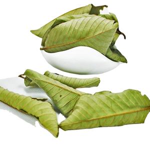 Высокое качество, оптовая продажа, новые высушенные натуральные листья псидия гуахава, не экстракт для продажи - Product Image 1