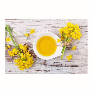 Huile de canola raffinée à bas prix/huile de colza Emballage en vrac de qualité biologique de haute qualité d'origine brésilienne - Product Image 6