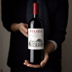 Feliza - Vino Tinto Seco Tempranillo Garnacha 11% ABV Vino Tinto Joven Español 750ml - Product Image 2
