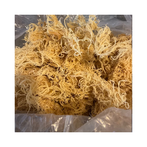 Suministro al por Mayor de Musgo Marino, Alga Marina Seca de Grado Alimenticio para la Elaboración de Productos Vegetarianos y Veganos - Product Image 1