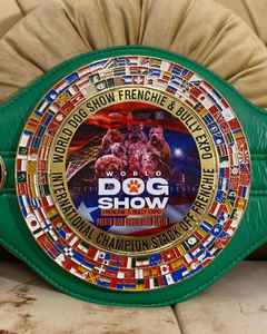 เข็มขัดแชมป์แบบกำหนดเอง (ทองแดง/โลหะผสมทองแดง)-ถ้วยรางวัล เหรียญรางวัล และรางวัลต่างๆ สัญลักษณ์สูงสุดแห่งชัยชนะและความเป็นเลิศ - Product Image 1