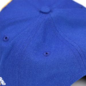 SGR Cap Royal Blue Sigma Gamma Rho Sorority Hat 20% lana 80% acrílico bordado Logo parte delantera trasera ajustable ajuste algodón sombrero - Product Image 4