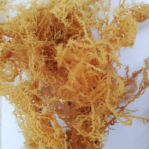 Wholesale Seasoned Dried Eucheuma Cottonii Seaweed High Carrageenan Yield <b>Natural</b> and Sustainable Packaged in Bag - Product Image 5