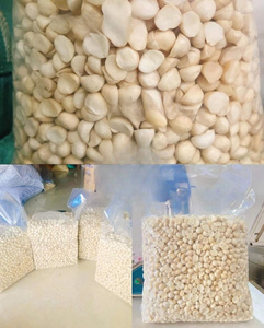Noix de macadamia vietnamiennes de haute qualité avec un bon prix pour l'exportation - Product Image 3