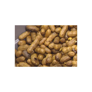 Cacahuètes crues organiques de haute qualité, coquille de noix de terre séchée rôtie emballée pour plus de commodité - Product Image 1