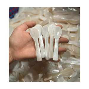 Cuchara de concha blanca con incrustaciones de nácar, concha marina para el hogar, restaurante, venta al por mayor, juegos de cubiertos artesanales económicos - Product Image 1