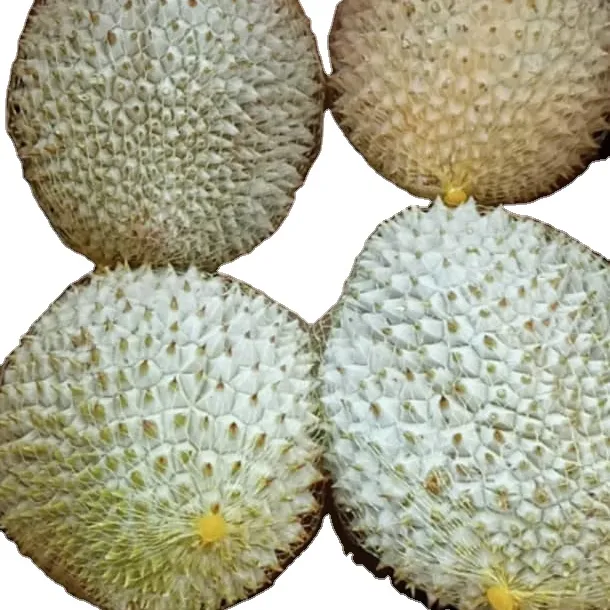 Durian congelé en gros meilleure qualité de qualité supérieure 100% délicieux prêt à exporter