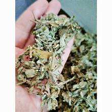 Hojas de artemisa secas puras para apoyo inmunológico, etiqueta limpia, producto de remedio herbal - Product Image 5