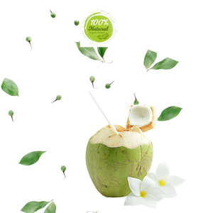 มะพร้าวสดเวียดนาม-ลดลงของความดีของธรรมชาติ - Product Image 2