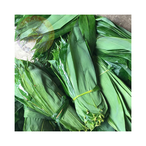 Hojas de bambú al por mayor: naturales, sostenibles e ideales para compradores a granel que buscan productos orgánicos de alta calidad - Product Image 2