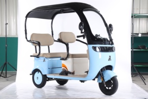 2025 CE nuevo triciclo bicicleta eléctrica 800W CAMIÓN Tuk scooter de <span class=keywords><strong>3</strong></span> ruedas tándem gordo <span class=keywords><strong>Europa</strong></span> - Product Image 6
