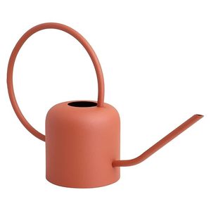 Arrosoir en métal durable pour l'entretien du jardin, arrosoir en métal rustique parfait pour votre jardin - Product Image 4