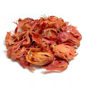เครื่องเทศมาซแห้งเกรดสูง คุณภาพส่งออก สำหรับอุตสาหกรรมอาหารขายส่ง ราคาตลาดดีที่สุด - Product Image 2