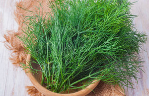 Hojas de eneldo de hierbas y especias individuales de alta calidad a precio a granel de Vietnam - Product Image 2